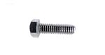 Picture of Bolt Pentair American Products Purex 3/8-16 x 1-1/4" 070430