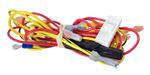 Picture of Wire Harness Zodiac Jandy Lxi Control R0457700