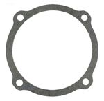 Picture of Gasket Pentair ORIng S04757