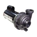 Picture of Pump Sundance/Jacuzzi Theramax 2.5HP 230V 6500-341