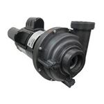 Picture of Pump Sundance Theramax SD 2Spd  2.5Hp 240 6500-343