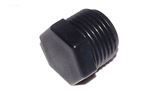 Picture of Plug Pentair Rainbow Automatic Feeder 320 1/2 NPT R172134