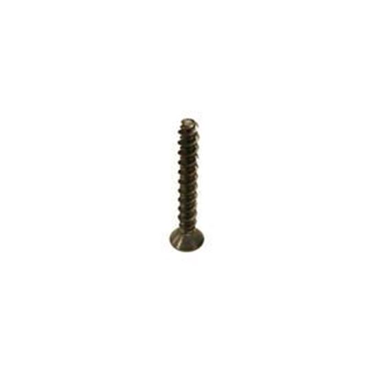 Picture of Screw, Filter Face Plate, Rainbow 172483