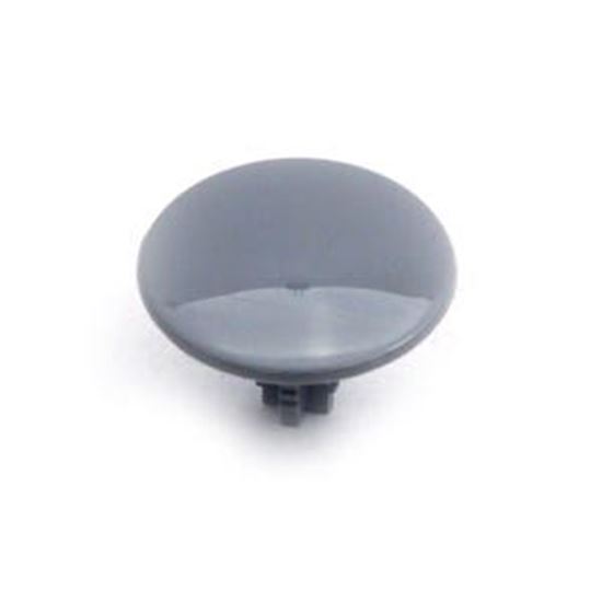 Picture of Cap, Air Injector, Hyd 31-9202-GRAY