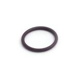 Picture of O-Ring, Retainer Ring, Waterway, 805-0219V