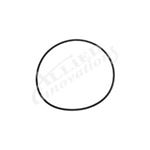 Picture of O-Ring, Pump, Generic, Pump  90-423-5254