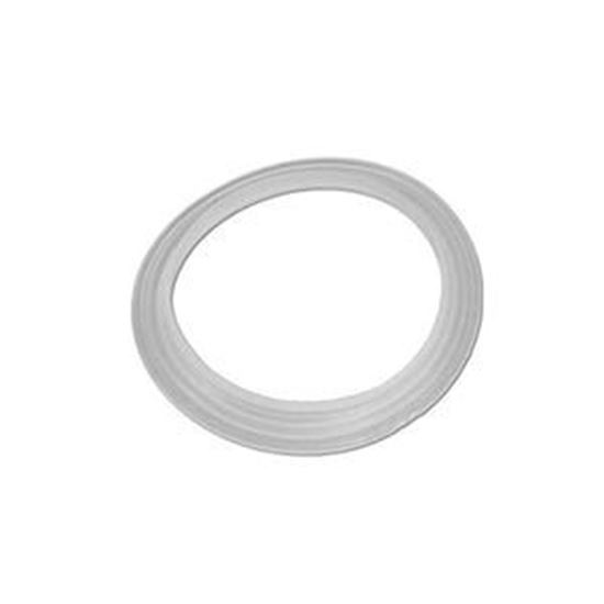 Picture of Gasket, Pentair, Cyclone Micro Jet 959000