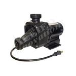 Picture of Bath Pump, Balboa Gemini Plus II, 3/4HP, 11 NR2A-C