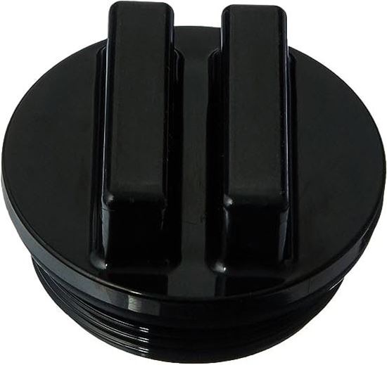 Picture of 2" Threaded Plug With O-Ring  Sp1022C2Blk