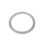 Picture of Gasket, Jet, Waterway, Flat, Poly Storm 711-4410