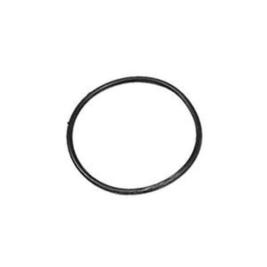 Picture of O-Ring, Aquaflo 92200250