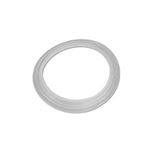 Picture of Gasket, Pentair, Cyclone Micro Jet 959000