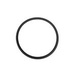 Picture of O-Ring, Filter, Waterway, Sand Filter 805-0435