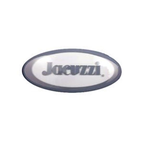 Picture of Pillow Insert: Jacuzzi (Oval) , Jacuzzi 2000-263 2000-263