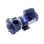 Picture of Pump Waterway EX2 2.5HP 230V 11.0/3.0A 2- 3421020-1U