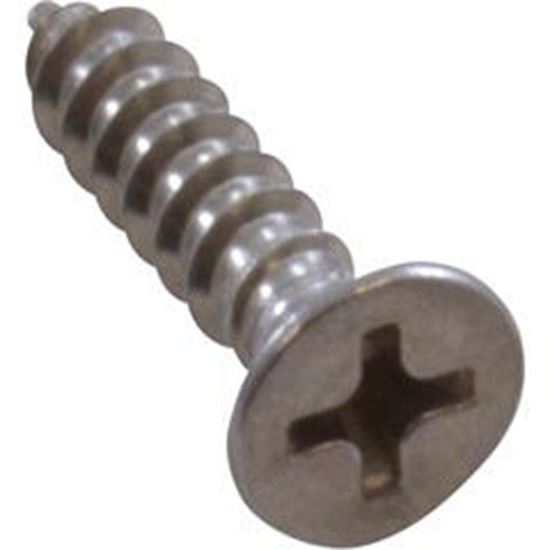 Picture of Screw Pentair PacFab Dual Bottom Grate 8 x 3/4" 552538