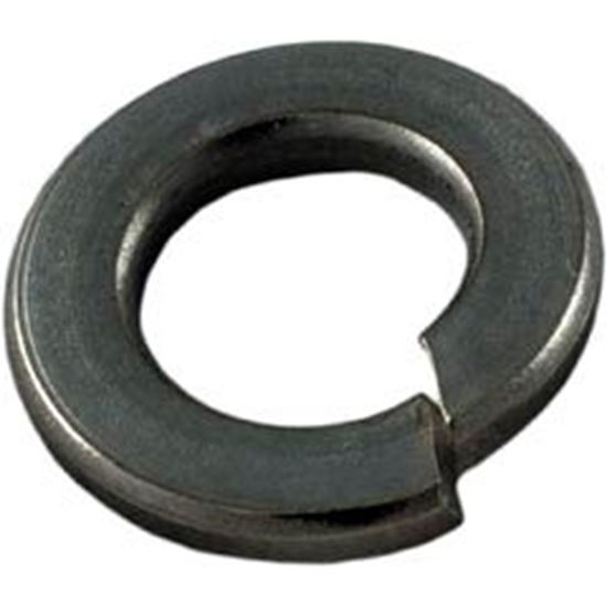 Picture of Lock Washer Pentair Sta-Rite 5/16" U43-11SS