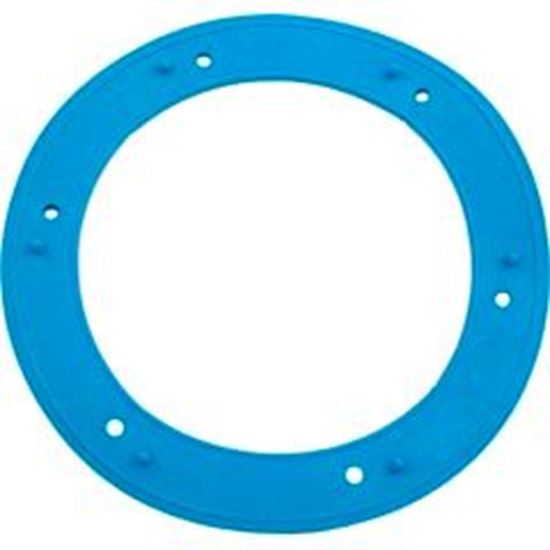 Picture of Light Niche Liner Gasket Sta Rite Small 05166-0001