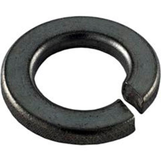 Picture of Lock Washer Pentair Sta-Rite 3/8" U43-12SS