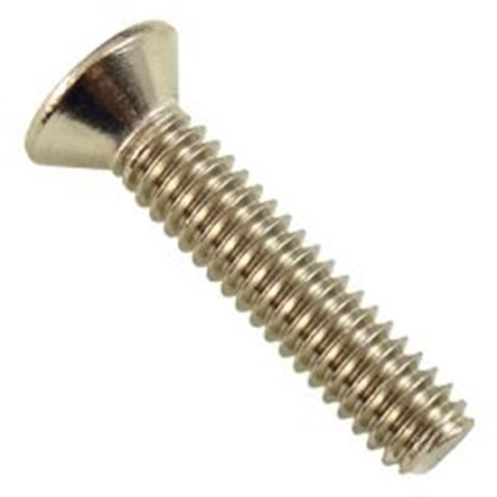 Picture of Light Niche Screw Pentair Amerlite 1/4-20 x 1.25" 98202700Z