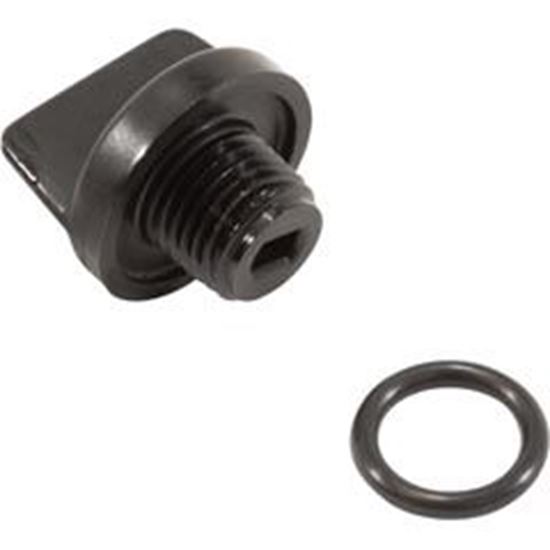 Picture of Drain Plug Pentair Sta-Rite 1/4"mpt with O-Ring U178-920PZ