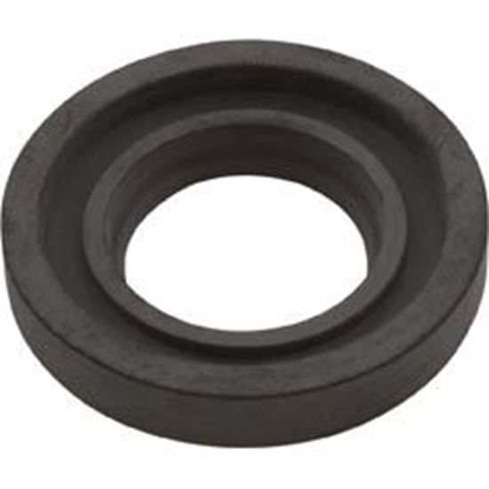 Picture of Gasket Pentair O-Ring N20-34