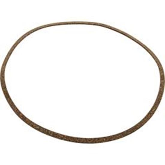 Picture of Gasket Pentair J-Series High Head Volute C20-122