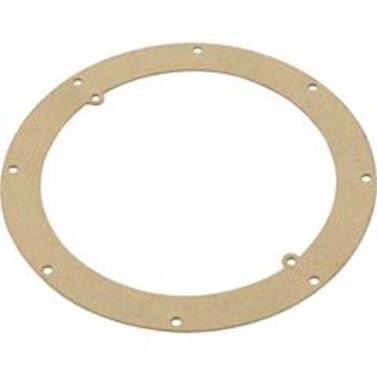 Picture of Gasket Pentair American Products Sump Body 87102000