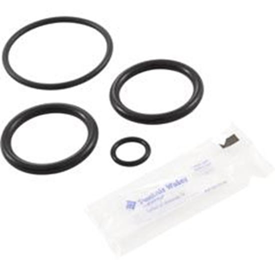 Picture of O-Ring Kit Pentair Non-Corrosive Slide 273109