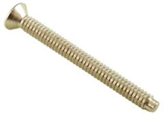 Picture of Leader Screw Sta Rite Sunsaver Light 10-24 2" Flat Head 05101-0004Z