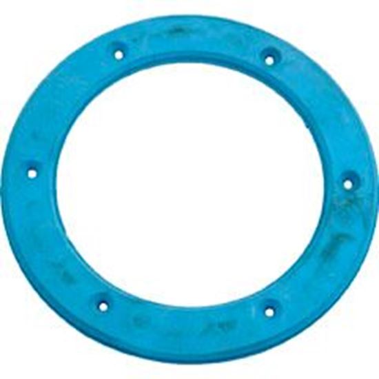 Picture of Light Niche Ring Gasket Sta Rite Small 05166-0002