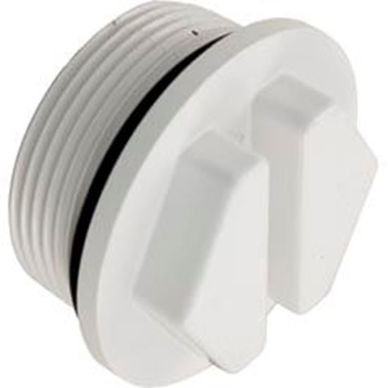 Picture of Winterizing Plug Pent Am Prod Titan/Quantum/Sandpiper 86201700