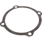 Picture of Gasket Pentair ORIng S04757