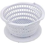 Picture of Basket Skimmer OEM Rainbo with Pentair DFM DFML IV White R172661