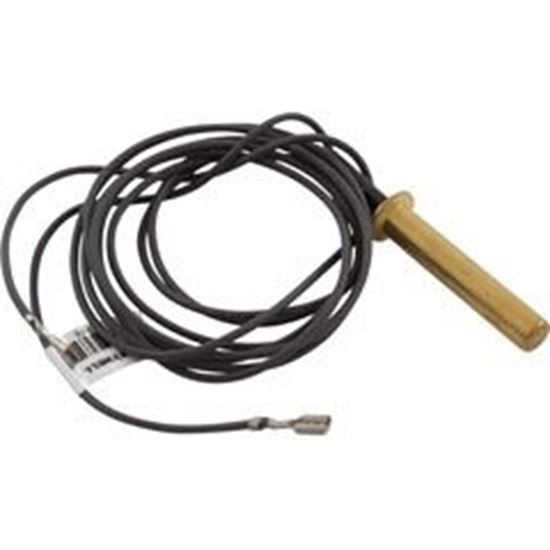 Picture of Thermistor Probe 471740