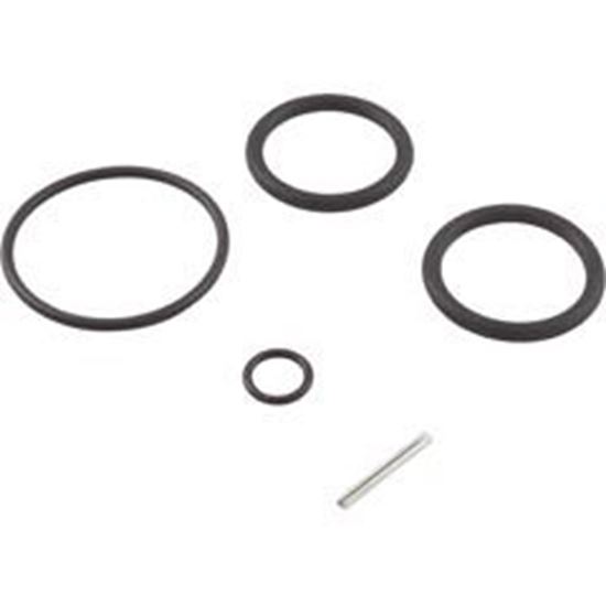 Picture of Kit O-rings Includes all valve O-rings 263054