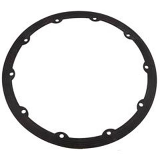 Picture of Gasket Pentair QuickNiche 10-Hole 630025Z