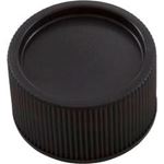 Picture of Drain Cap Pentair American Products Warrior/CC 51516200