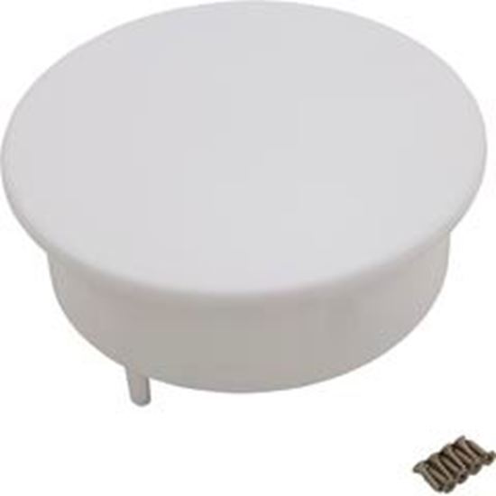 Picture of Niche Filter Pentair Top Load w/Flat Lid White R172542WH