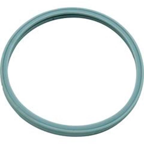 Picture of Light Lens Gasket Pentair PacFab Pool Star Hatteras 614516