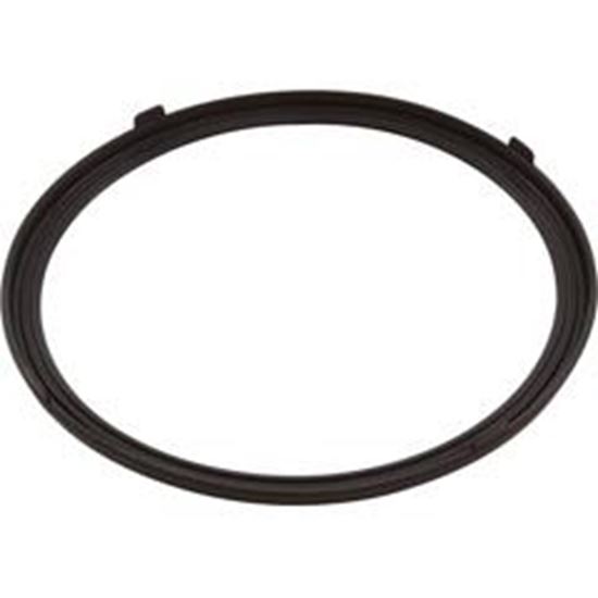 Picture of Gasket Pentair AquaLumin III Light Lens 619599Z