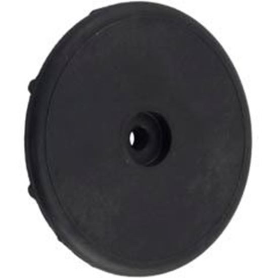 Picture of Control Panel Cover Retainer Cap Pentair Max-E-Therm 77707-0009