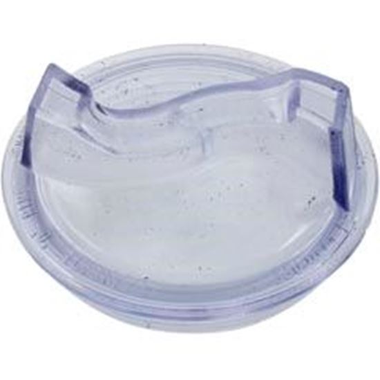 Picture of Trap Lid Pentair Sta-Rite DuraGlas 6" Trap 16920-0011