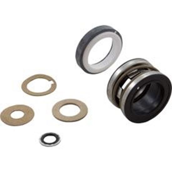 Picture of Shaft Seal Pentair C/CC/D Series Buna U109-433SS