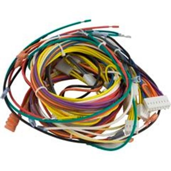 Picture of Wire Harness Pentair Max-E-Therm/MasterTemp 115v/230v 42001-0104S