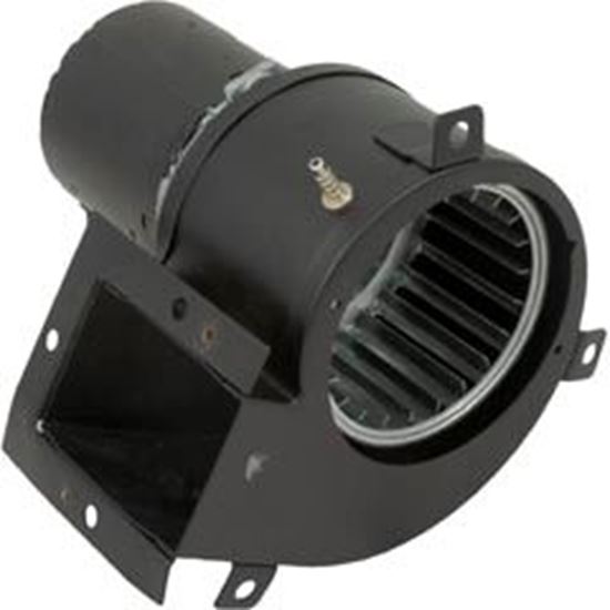 Picture of Blower Pentair PowerMax 250/400 1.5A 470007