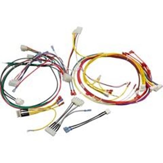 Picture of Wire Harness Pentair MasterTemp 125 120/240v 461107