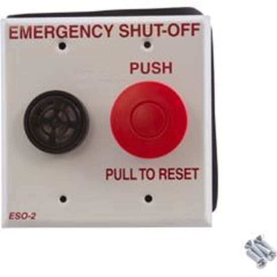 Picture of Shut Off Switch Pentair Compool with Alarm ESO2