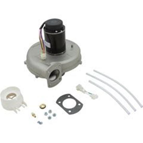 Picture of Blower Kit Pentair MasterTemp 400/Max-E-Therm 400 Nat. 77707-0253