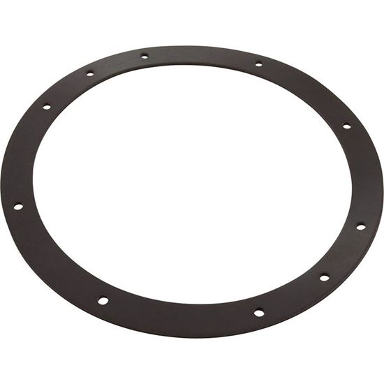 Picture of Gasket Sta Rite Vinyl Liner Light Niche Generic G-435